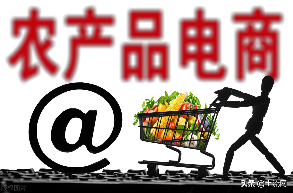 农村淘宝服务站盈利模式(农村电商发展模式的三种主要类型)(2)