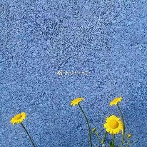 吸引人的微信推文标题(朋友圈十大标题套路)(2)