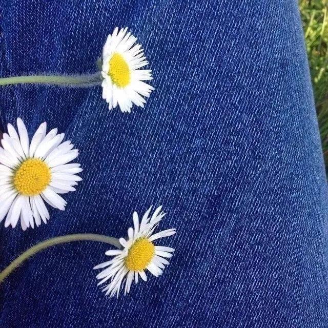 吸引人的微信推文标题(朋友圈十大标题套路)(3)