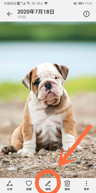 在微信图片上添加文字(图片照片用微信添加文字怎么操作)(1)