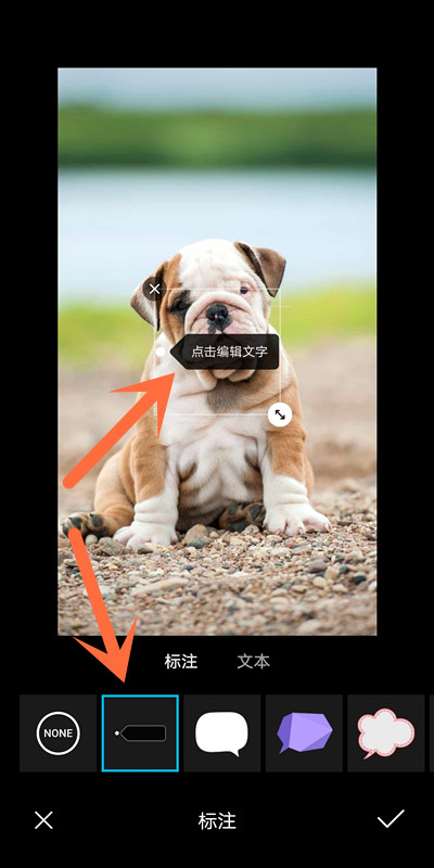 在微信图片上添加文字(图片照片用微信添加文字怎么操作)(4)