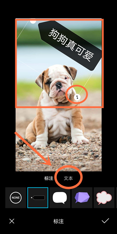 在微信图片上添加文字(图片照片用微信添加文字怎么操作)(5)