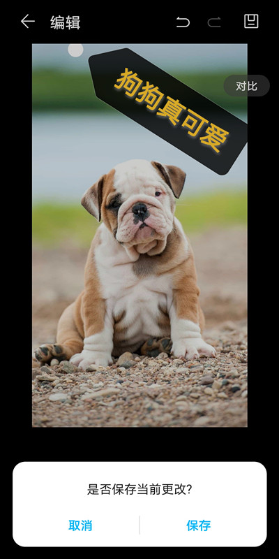 在微信图片上添加文字(图片照片用微信添加文字怎么操作)(7)