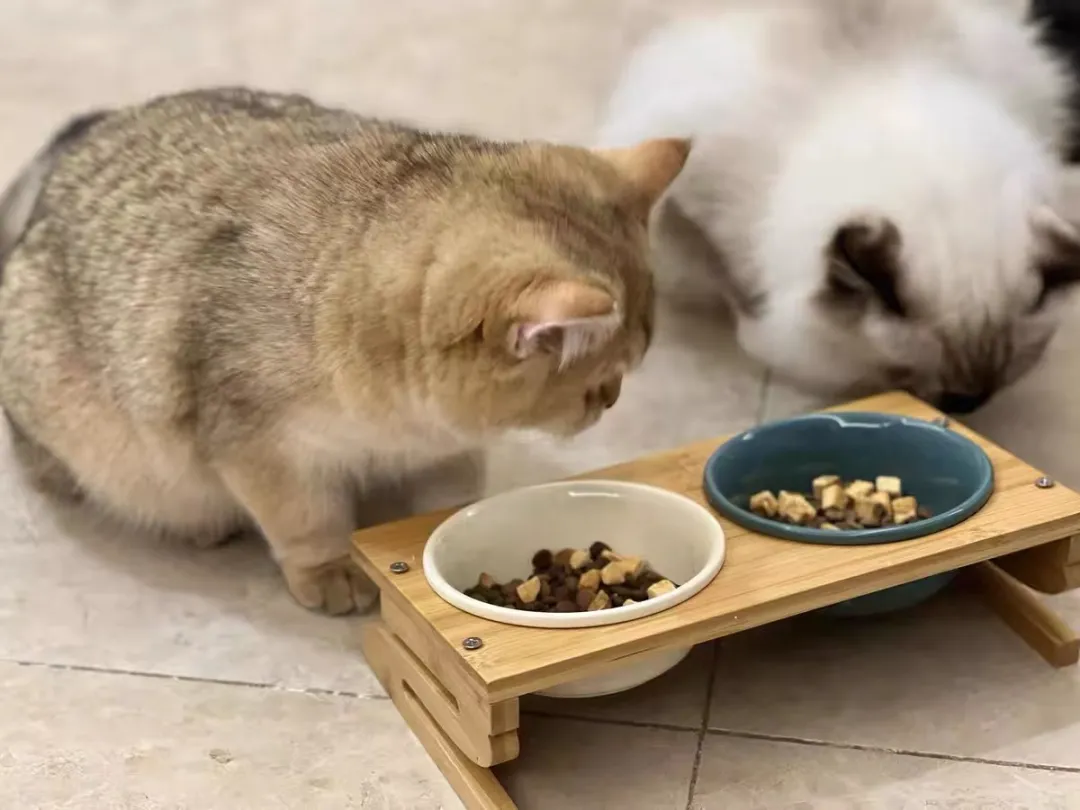 在淘宝搜什么关键词福利有惊喜(网购换个搜索词钱能省一半)(27)