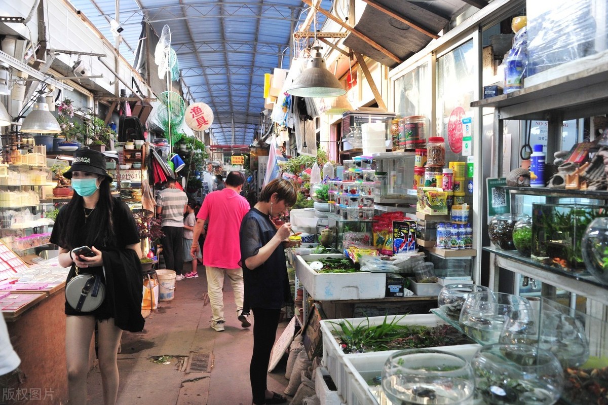 地摊货源热卖批发市场(新手摆摊生意怎么找货源)(11)