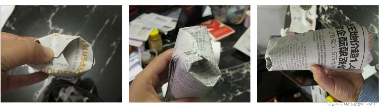 多肉植物快递怎样包装(购买多肉植物的步骤)(5)