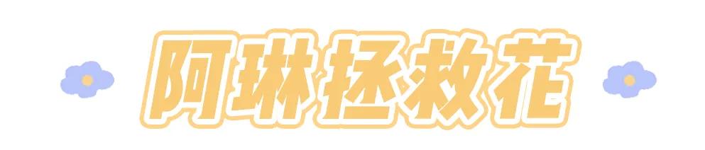 大码女装淘宝店铺推荐(6家私藏大码店分享)(7)