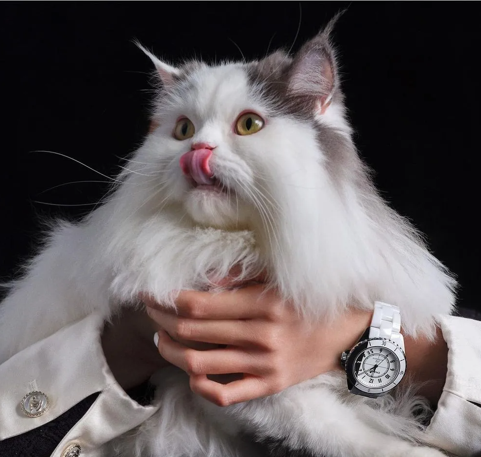 女士手表品牌排名及价格（腕表女表排行榜前十名）