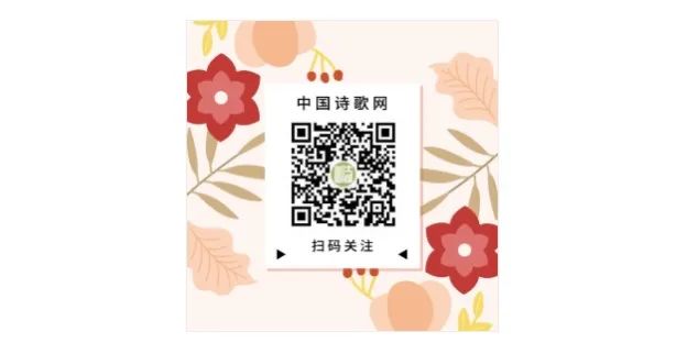 幽默的微信公众号介绍（比刷抖音有趣的几个公众号）(3)