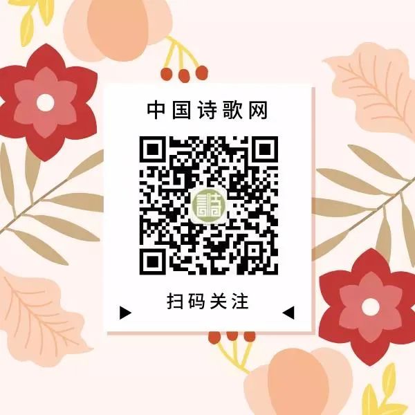 微信值得关注的公众号推荐（口碑最好的公号排行榜）(2)