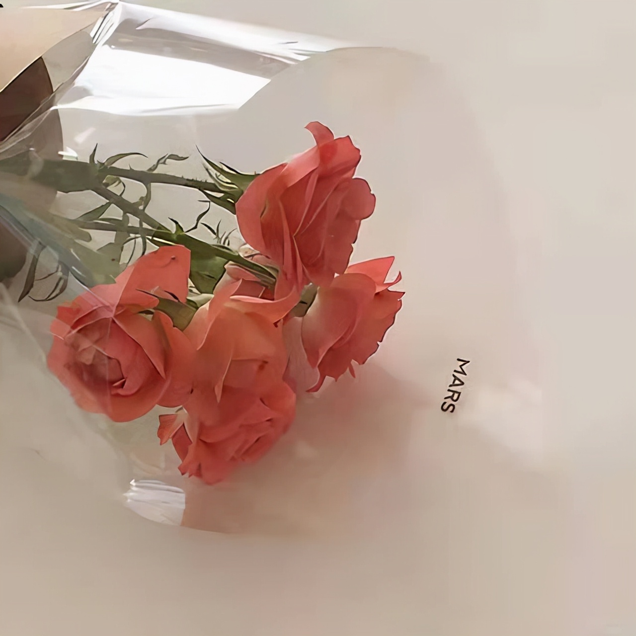 微信公众号优秀文案范文（微信置顶文案最近很火）(5)