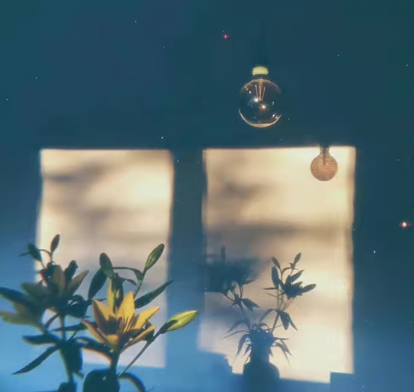 微信公众号优秀文案范文（微信置顶文案最近很火）(10)