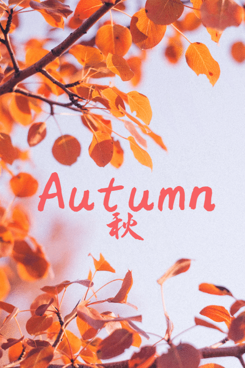 微信公众号动态图制作过程（公众号里的动态图片怎样制作）(1)