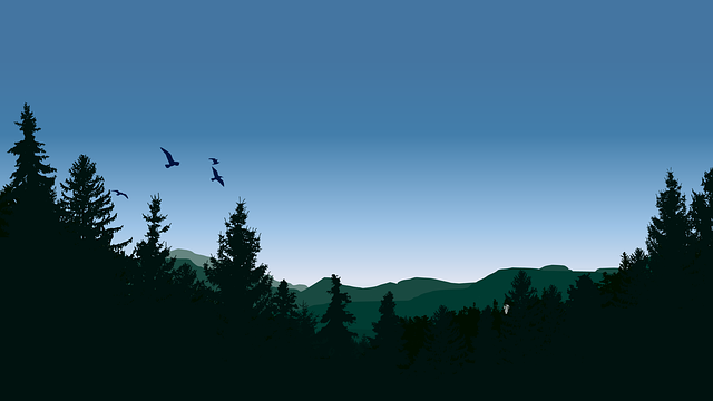 微信公众号发文章教程（新手公众号怎么发表文章）(1)