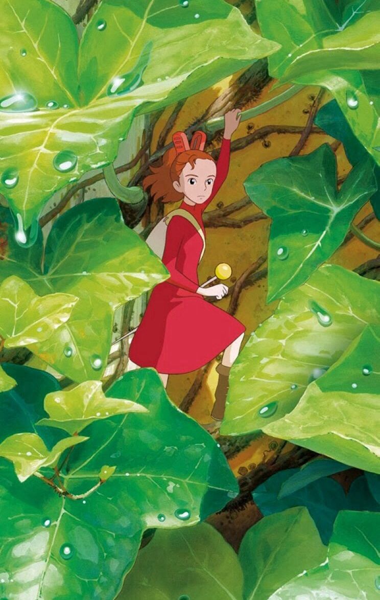 微信公众号开通流量主怎么获得收益（微信公众号的流量主怎么算钱）(4)