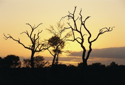 微信公众号怎么发文章流程(公众号文章编辑好后怎么发布)(1)