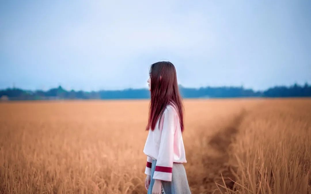 微信公众号排名前十（ 这10个好评率超高的公众号）(1)