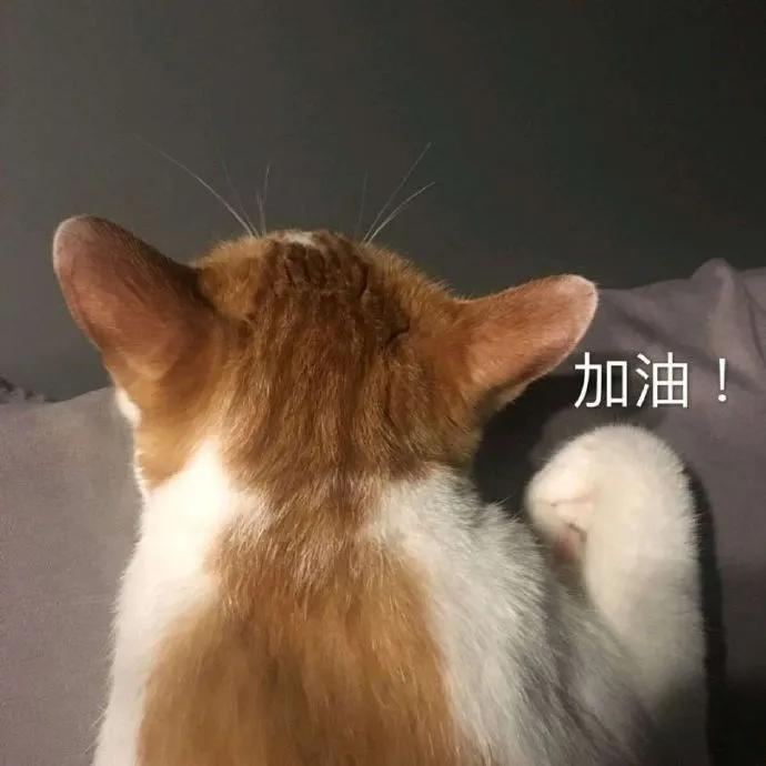 微信公众号接单平台有哪些(关于公众号赚钱,你要悄悄接单)(1)