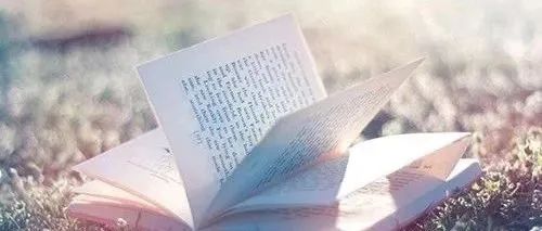 微信公众号推荐平台（优秀的公众号都有哪些）(1)