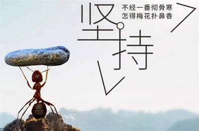 微信公众号点广告赚钱的平台（公众号号主怎么开通广告）(5)