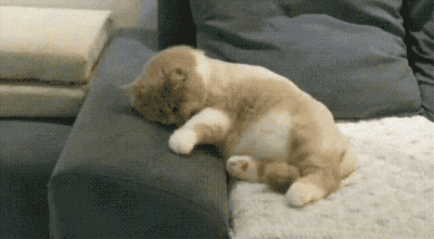 微信公众号的盈利方式有哪些（微信公众号如何获得超高盈利）(1)