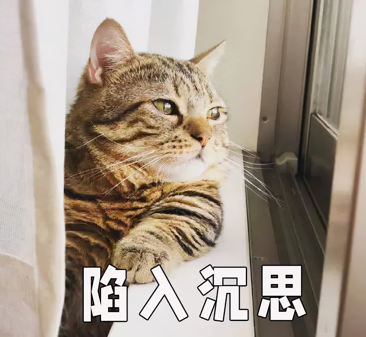 微信公众平台推广效果（公众号怎么精准评估投放效果）(2)