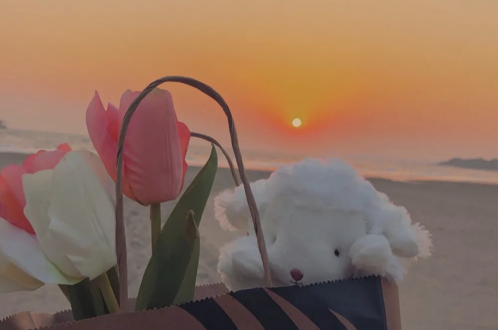 微信公众服务号申请流程（个人注册公众号详细步骤）(1)