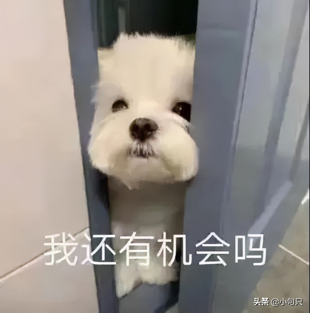 微信加人文案怎么写比较好(沙雕搞笑的加好友文案)(3)