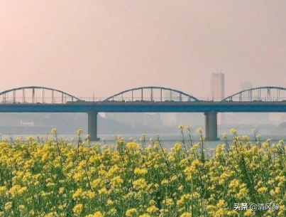 微信发美食配什么文字(晒美食的高情商句子)(1)