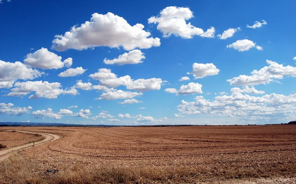 微信天猫福利群怎么做(淘宝客优惠券群如何引流)(1)