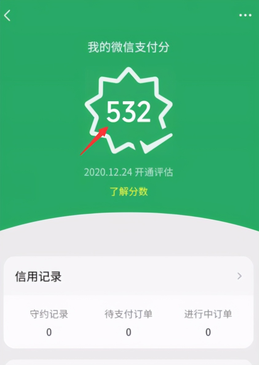 微信怎么查信用评分（如何查询微信支付分额度）(5)