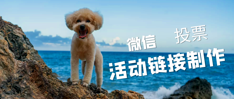 微信投票活动怎么弄（微信投票制作流程及方法）(1)