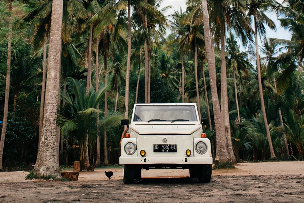 微信投稿赚钱的公众号（写作新人投稿投哪里）(9)
