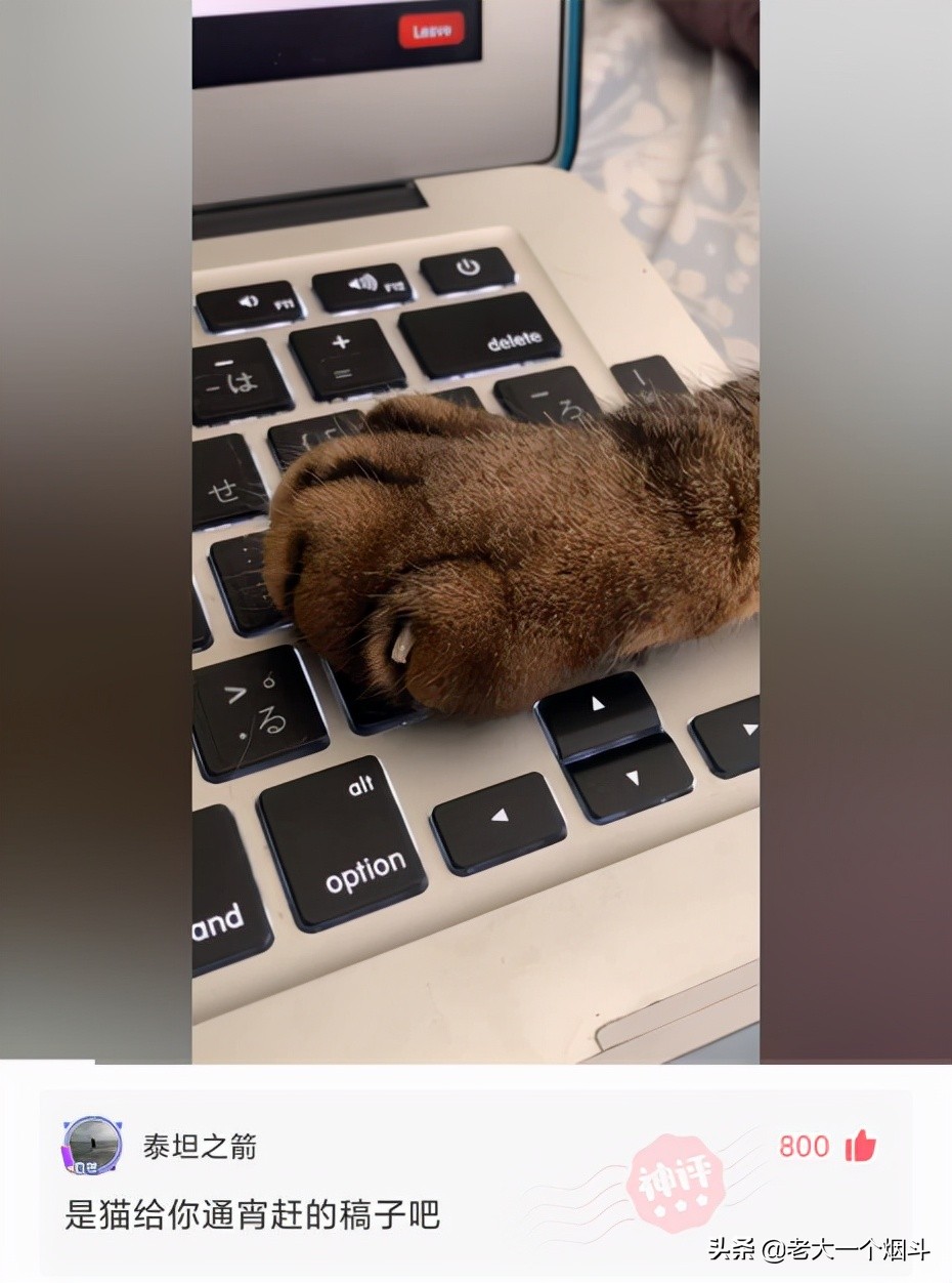 微信搞笑长篇评论（超级搞笑的神评论大全）(13)