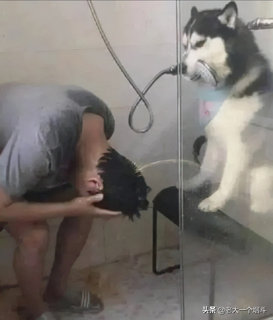 微信搞笑长篇评论（超级搞笑的神评论大全）(16)