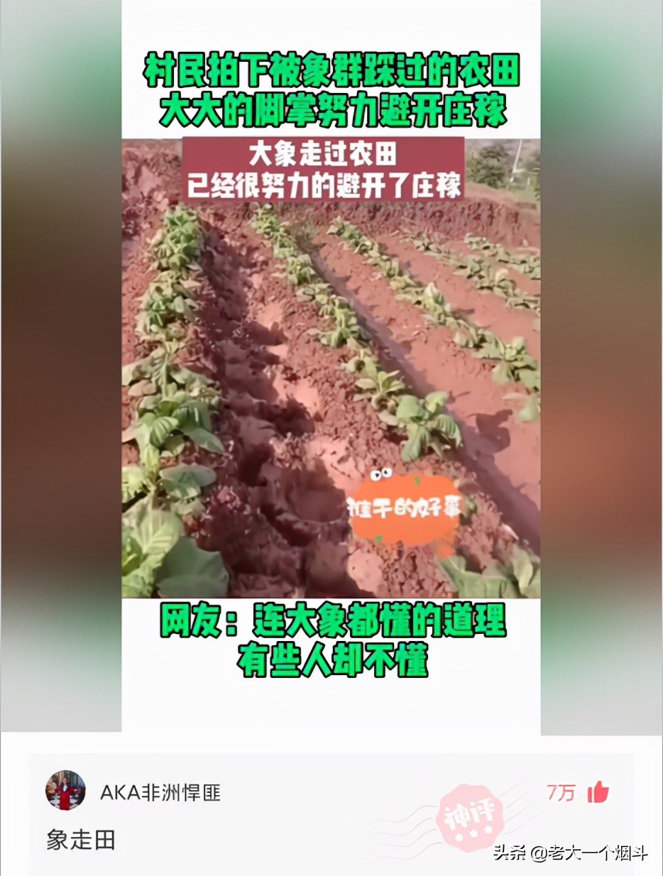 微信搞笑长篇评论（超级搞笑的神评论大全）(47)