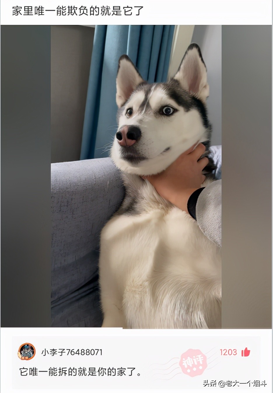 微信搞笑长篇评论（超级搞笑的神评论大全）(53)