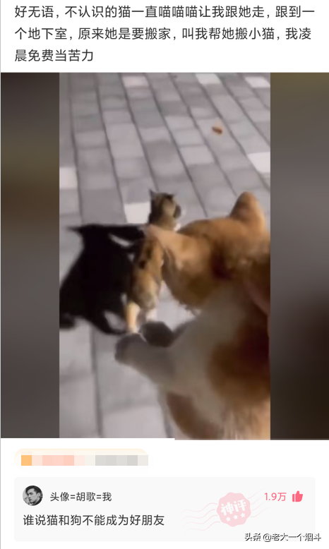 微信搞笑长篇评论（超级搞笑的神评论大全）(56)