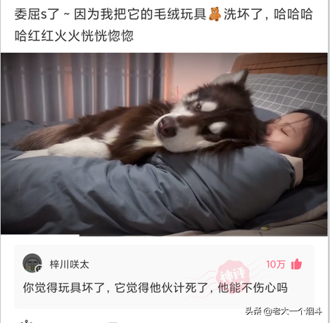 微信搞笑长篇评论（超级搞笑的神评论大全）(54)