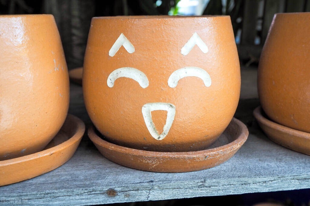 微信朋友圈创意文案（幽默朋友圈互动文案）(1)