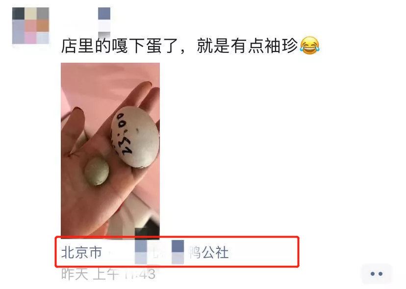 微信朋友圈营销方案（如何打造朋友圈吸引顾客）(15)