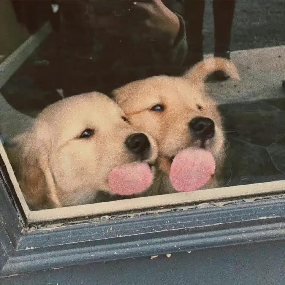 微信朋友圈软文(适合发朋友圈超高级文案)(1)