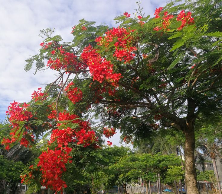 微信活动推广方案案例(阐述使用微信推广的各种方法)(3)