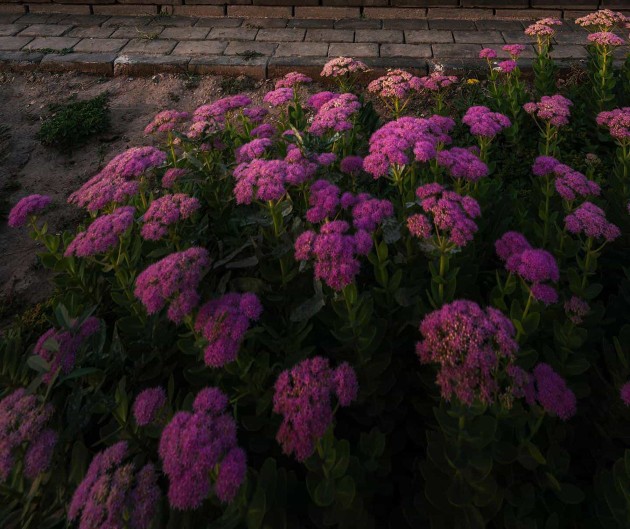 微信活动推广方案案例(阐述使用微信推广的各种方法)(4)