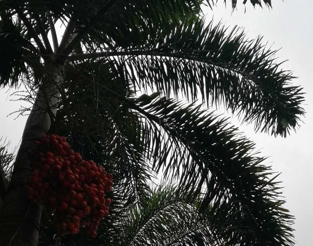 微信粉丝推广的方法（新手学习做微信推广）(5)