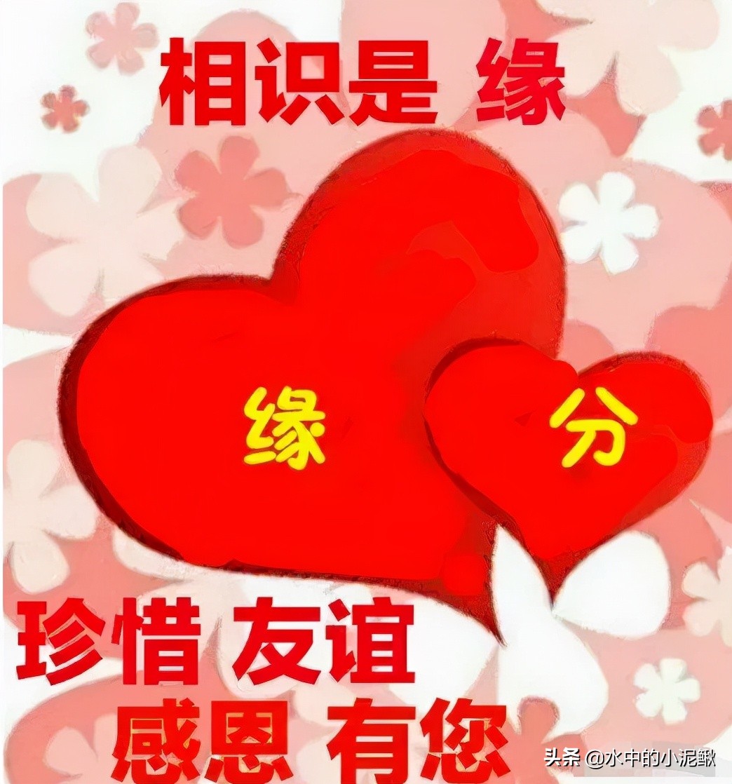 微信群发发什么内容好一些(微信群发早上好图片问候)(2)