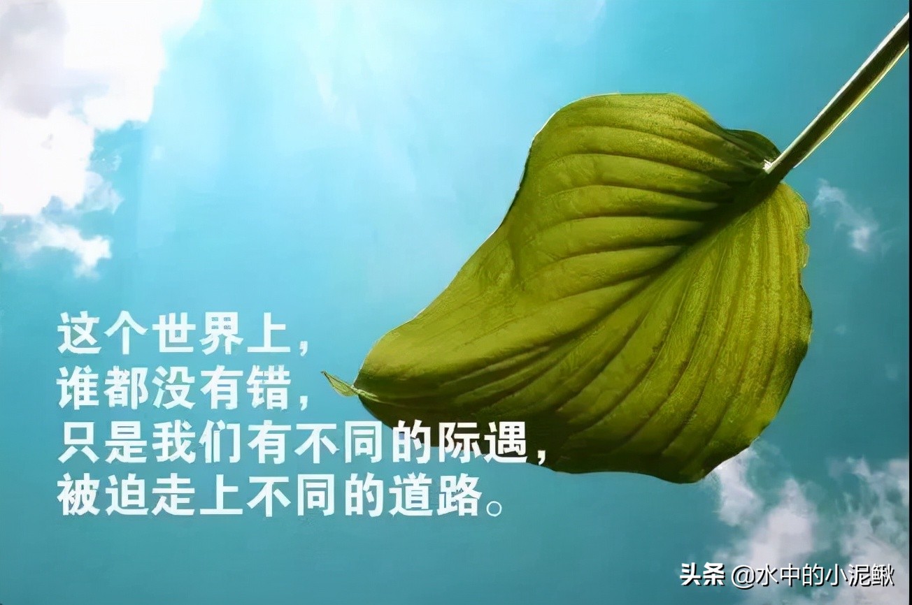 微信群发发什么内容好一些(微信群发早上好图片问候)(1)