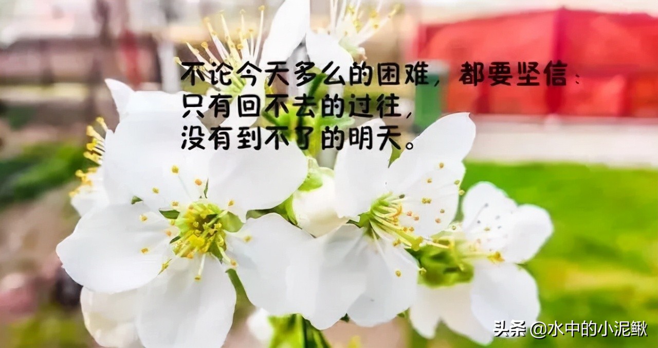 微信群发发什么内容好一些(微信群发早上好图片问候)(5)