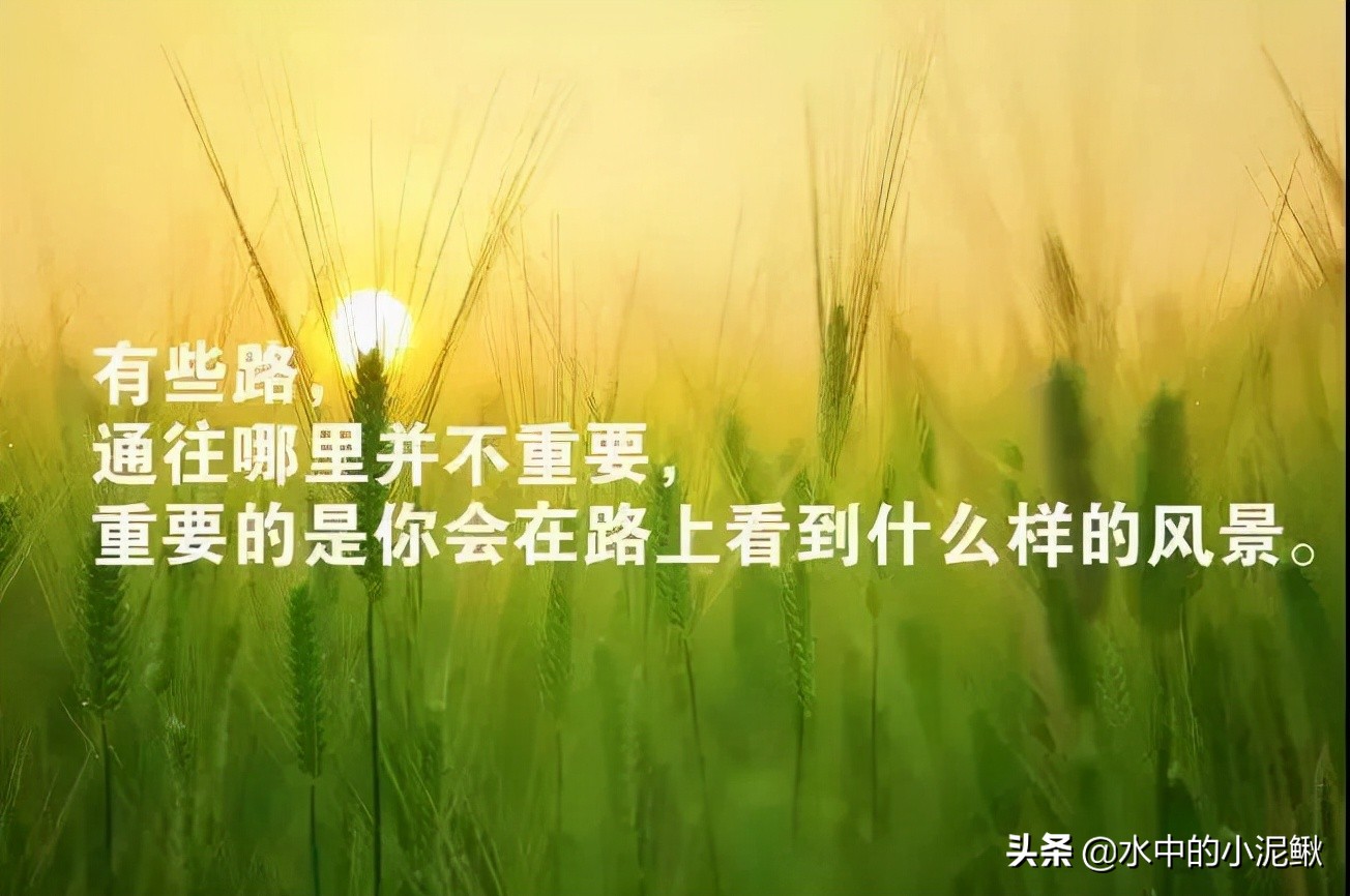 微信群发发什么内容好一些(微信群发早上好图片问候)(12)