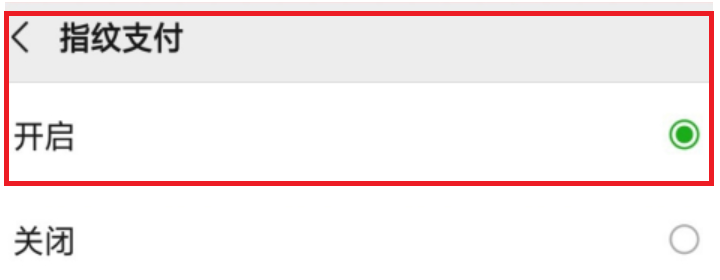 微信设置指纹支付密码（微信如何开启指纹付款）(4)